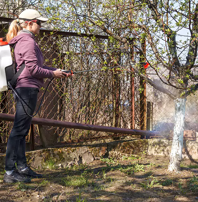 Why Maplewood Homeowners Choose Maplewood Pest Control Pro for Mosquito Abatement?