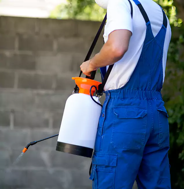 Why Maplewood Homeowners Rely on Maplewood Pest Control Pro for Mosquito Control?
