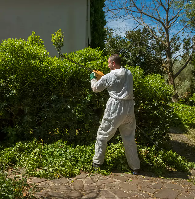 Why Maplewood Pest Control Pro Leads Mosquito Control in Maplewood, NJ?