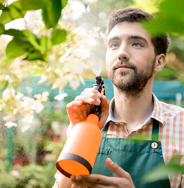 Why Maplewood Pest Control Pro Is the Best Mosquito Control Company in Maplewood, NJ?