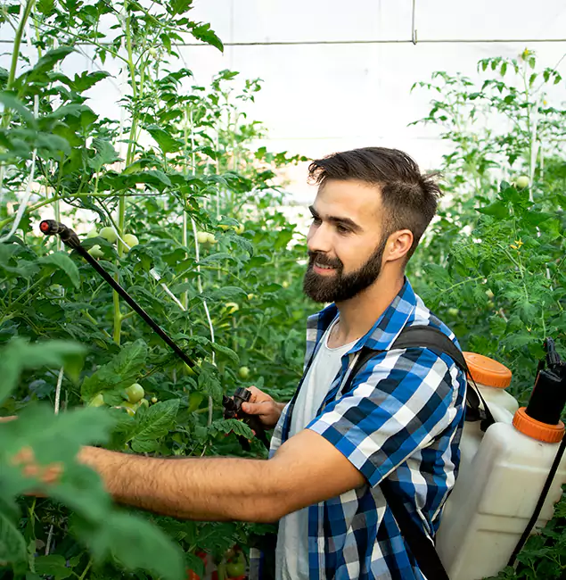 Why Maplewood Homeowners Choose Maplewood Pest Control Pro for Mosquito Spraying?