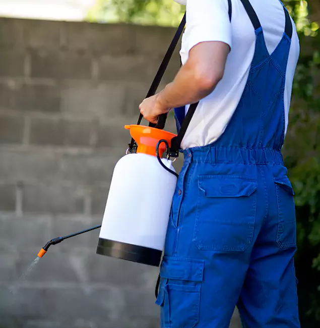 Why Maplewood Pest Control Pro Delivers the Best Mosquito Control in Maplewood, NJ?