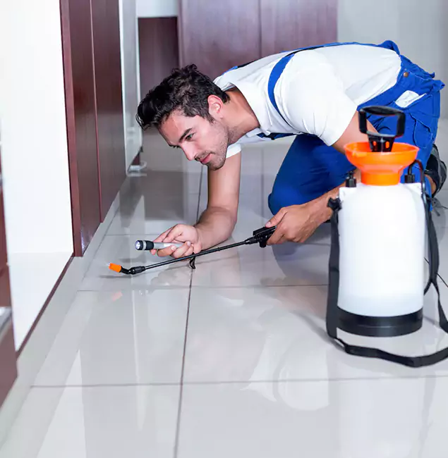 Why Maplewood Pest Control Pro Is the Proven Choice in Maplewood, NJ?