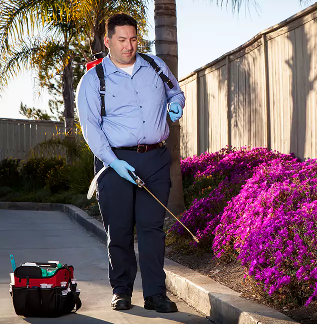 Why Choose Maplewood Pest Control Pro in Maplewood, NJ?