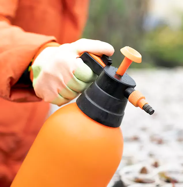 Why Choose Maplewood Pest Control Pro for Orange Termite Treatment in Maplewood, NJ?