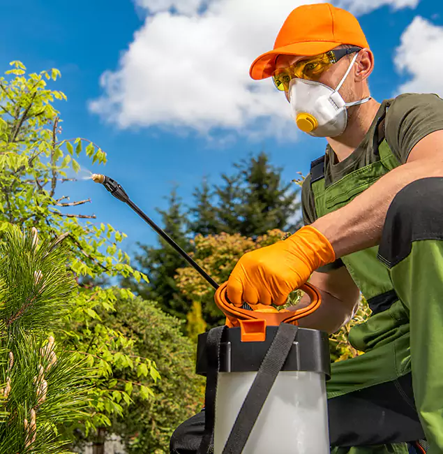 Why Choose Maplewood Pest Control Pro for Outdoor Pest Control in Maplewood, NJ?