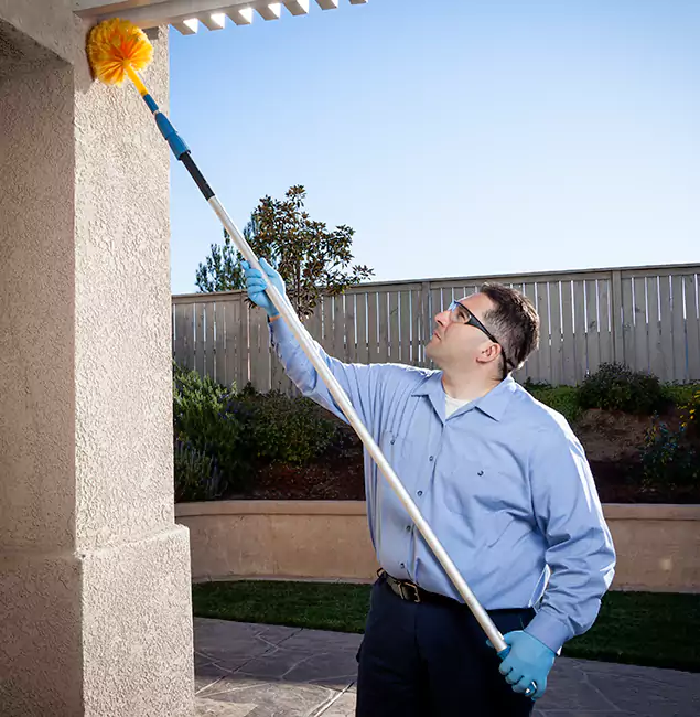 Why Choose Maplewood Pest Control Pro for Pest Control Services in Maplewood, NJ?