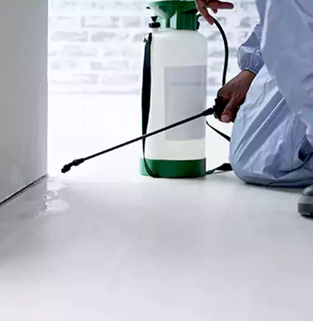 Why Choose Maplewood Pest Control Pro for Rat Exterminator in Maplewood, NJ?