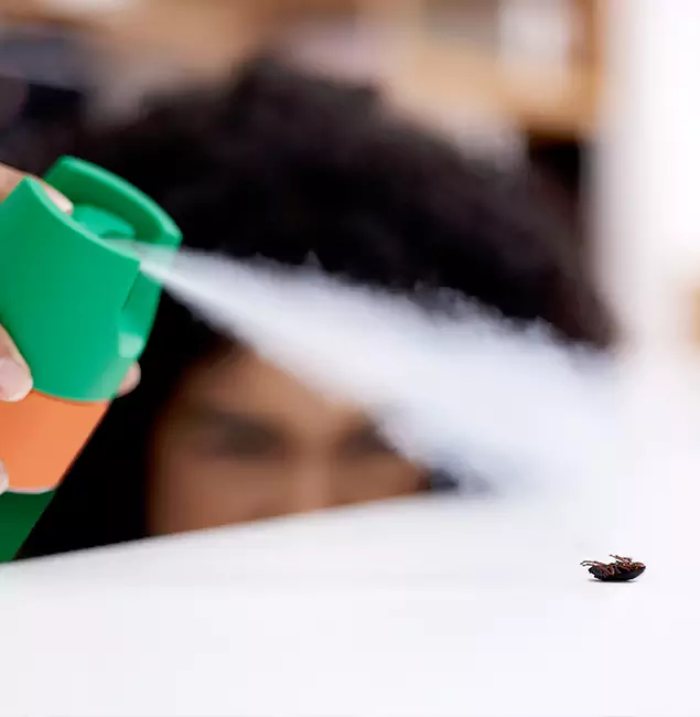 Why Maplewood, NJ Homeowners Choose Maplewood Pest Control Pro for Roach Pest Control?