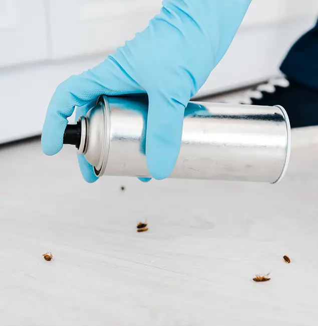 Why Choose Maplewood Pest Control Pro for Safe Bed Bug Treatment in Maplewood, NJ?