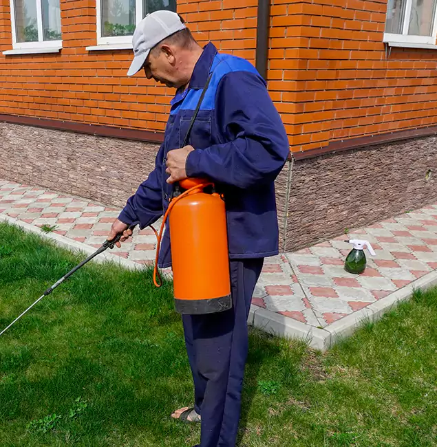 Why Choose Maplewood Pest Control Pro for Soil Treatment in Maplewood, NJ?