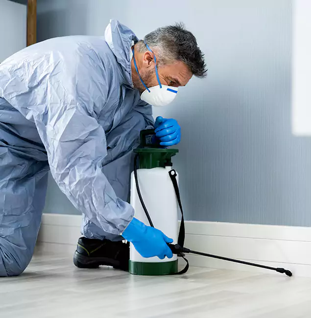 Why Choose Maplewood Pest Control Pro for Subterranean Termites Treatment in Maplewood, NJ?