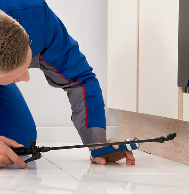 Why Maplewood Residents Choose Maplewood Pest Control Pro to Get Rid of Sugar Ants?
