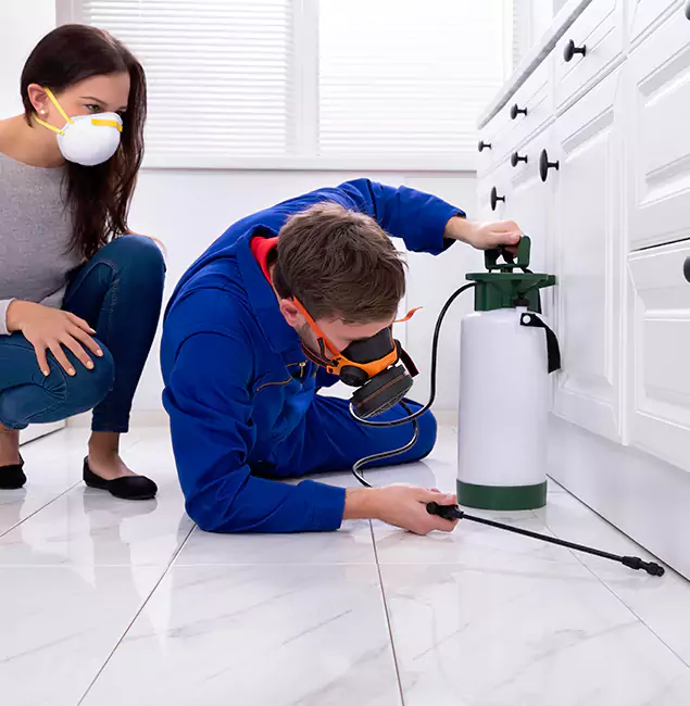 Why Choose Maplewood Pest Control Pro for Termite Inspection Cost in Maplewood, NJ?