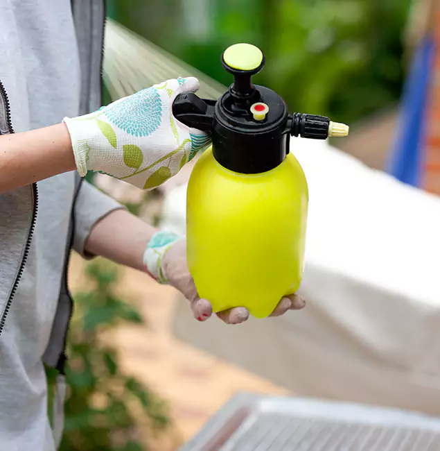 Why Choose Us: Maplewood Pest Control Pro Termite Spraying Experts in Maplewood, NJ?
