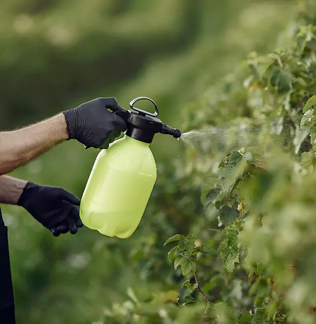 Why Maplewood Homeowners Choose Maplewood Pest Control Pro for Yard Tick Treatment?