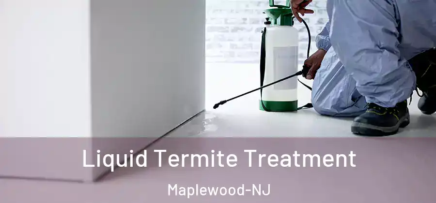 Liquid Termite Treatment Maplewood-NJ