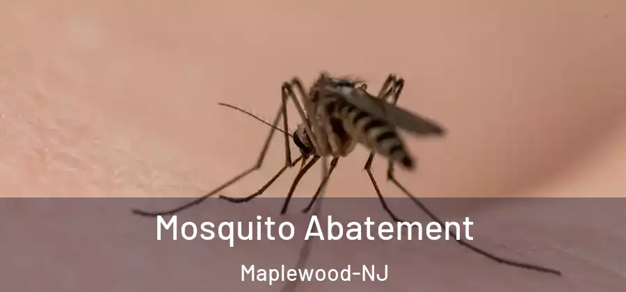 Mosquito Abatement Maplewood-NJ
