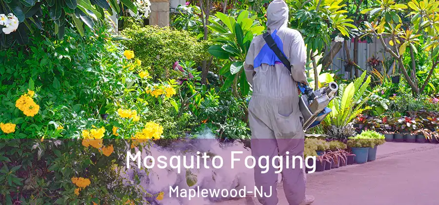 Mosquito Fogging Maplewood-NJ