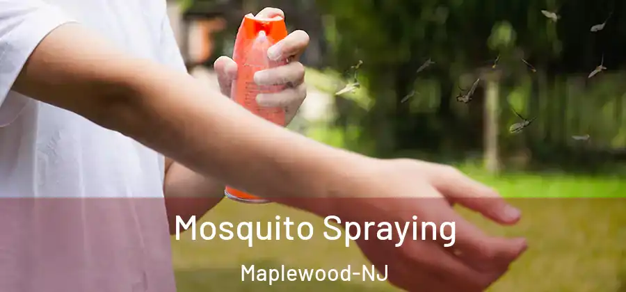 Mosquito Spraying Maplewood-NJ