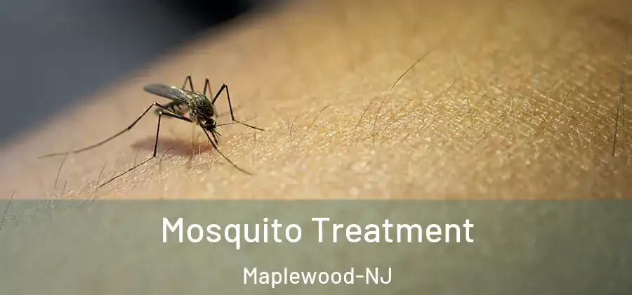 Mosquito Treatment Maplewood-NJ