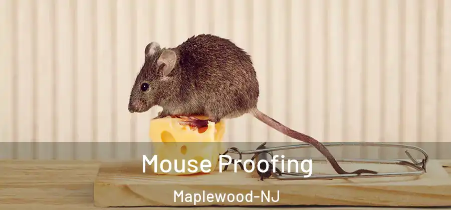 Mouse Proofing Maplewood-NJ