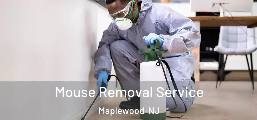 Mouse Removal Service Maplewood-NJ
