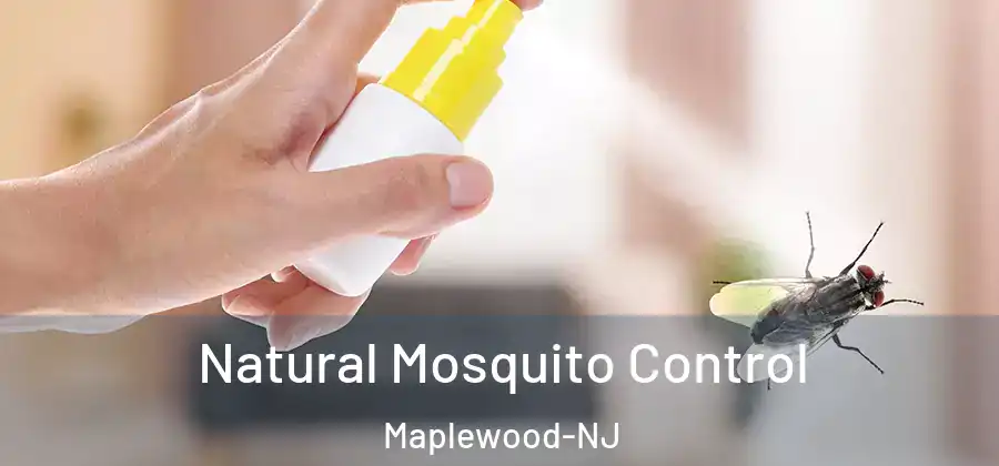 Natural Mosquito Control Maplewood-NJ