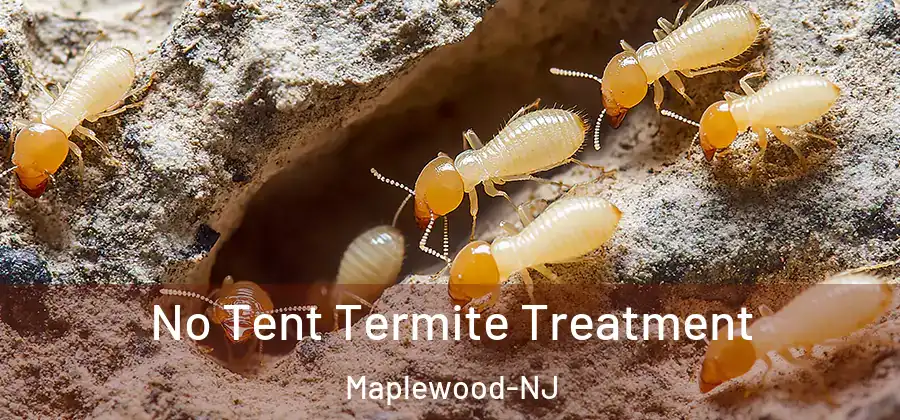  No Tent Termite Treatment Maplewood-NJ
