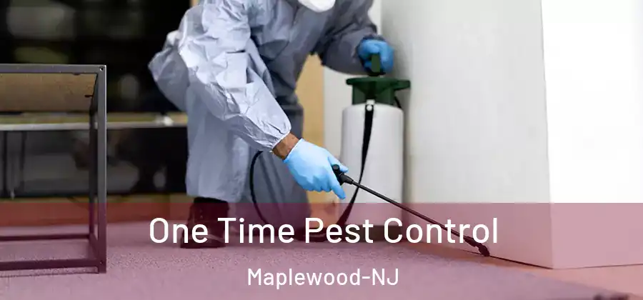 One Time Pest Control Maplewood-NJ