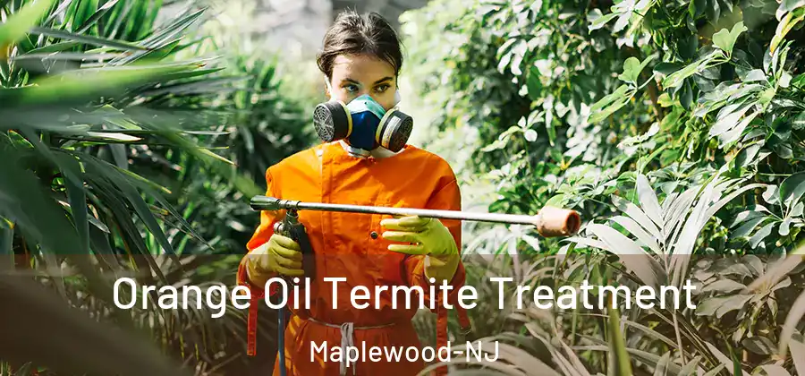 Orange Oil Termite Treatment Maplewood-NJ