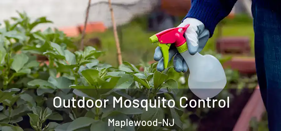 Outdoor Mosquito Control Maplewood-NJ