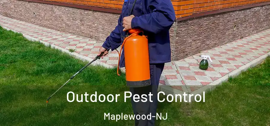 Outdoor Pest Control Maplewood-NJ