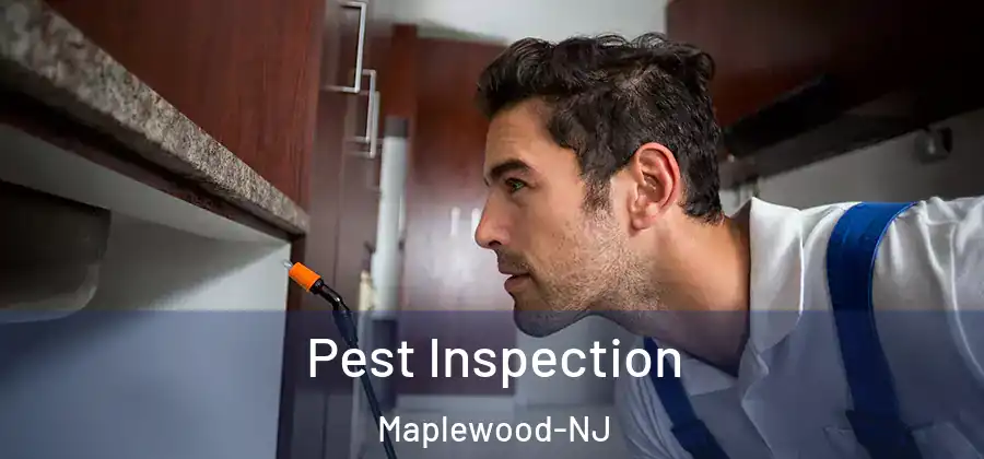 Pest Inspection Maplewood-NJ