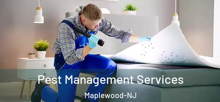 Pest Management Services Maplewood-NJ
