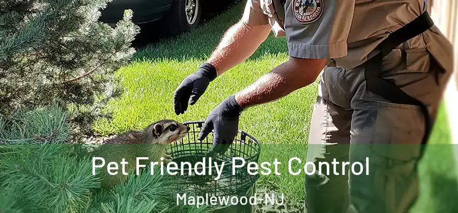 Pet Friendly Pest Control Maplewood-NJ