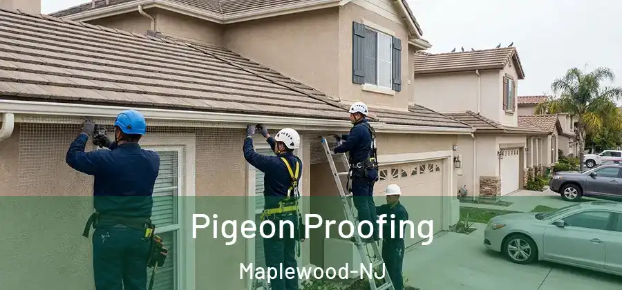 Pigeon Proofing Maplewood-NJ