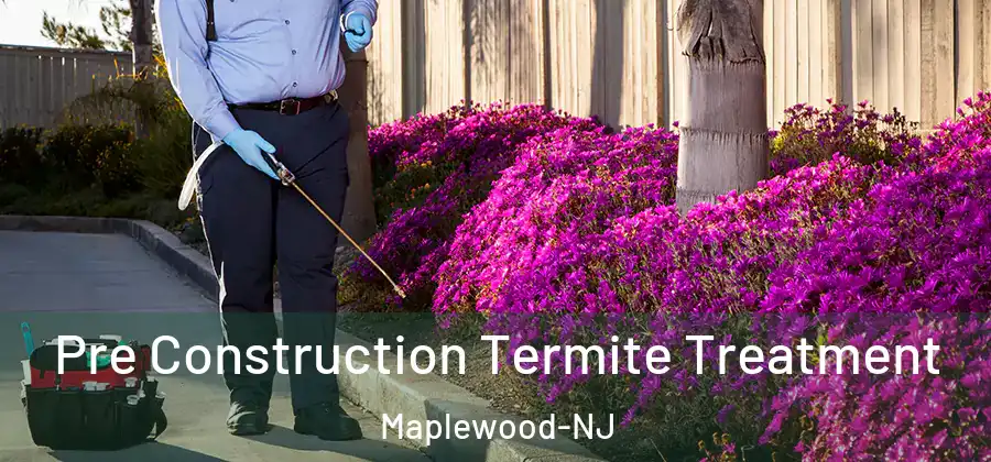 Pre Construction Termite Treatment Maplewood-NJ