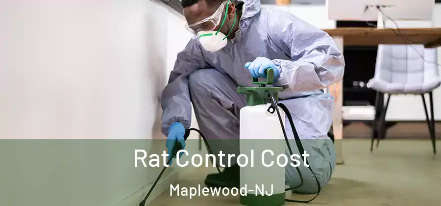 Rat Control Cost Maplewood-NJ