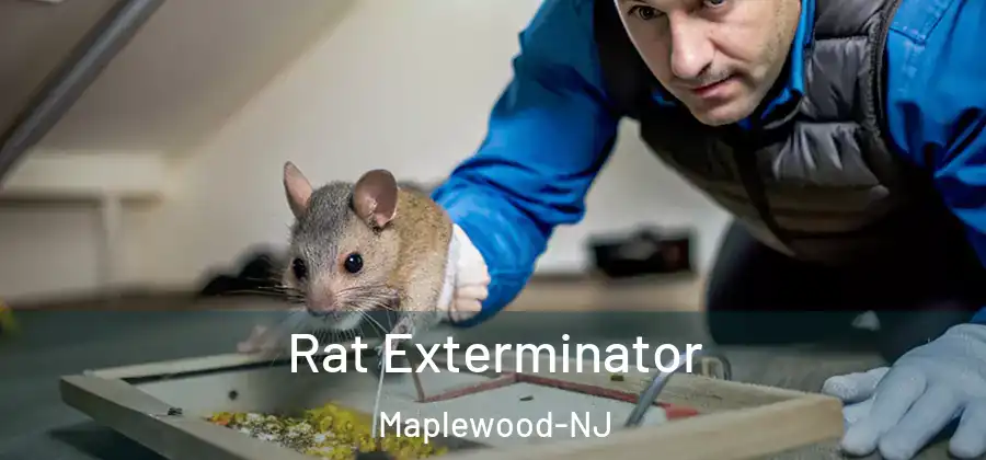  Rat Exterminator Maplewood-NJ