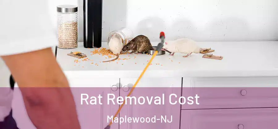 Rat Removal Cost Maplewood-NJ