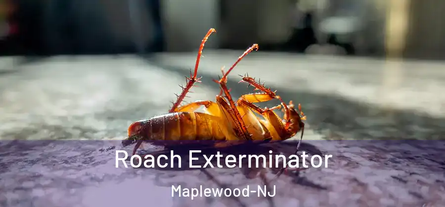 Roach Exterminator Maplewood-NJ