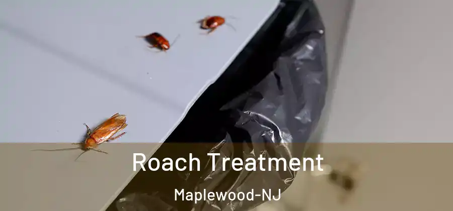 Roach Treatment Maplewood-NJ