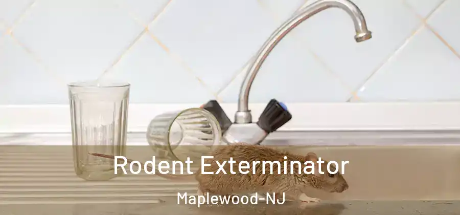 Rodent Exterminator Maplewood-NJ