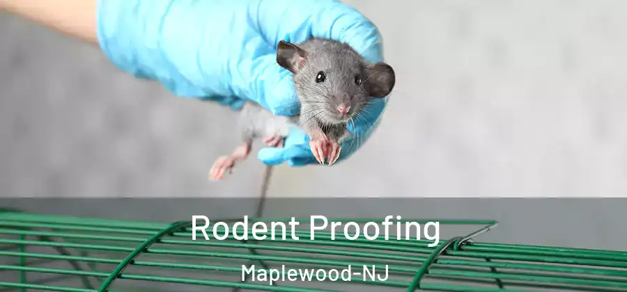 Rodent Proofing Maplewood-NJ