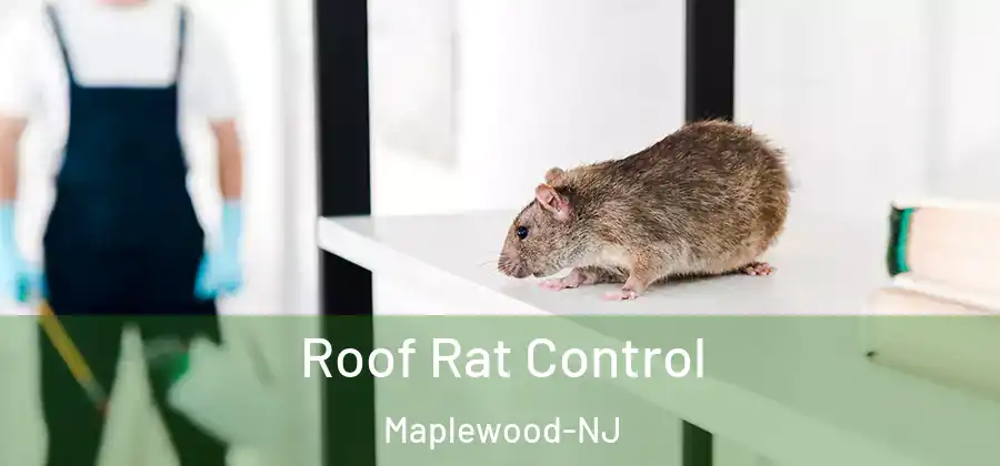 Roof Rat Control Maplewood-NJ