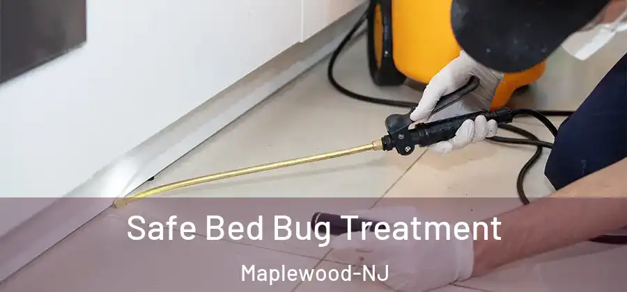 Safe Bed Bug Treatment Maplewood-NJ