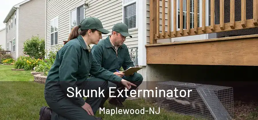 Skunk Exterminator Maplewood-NJ