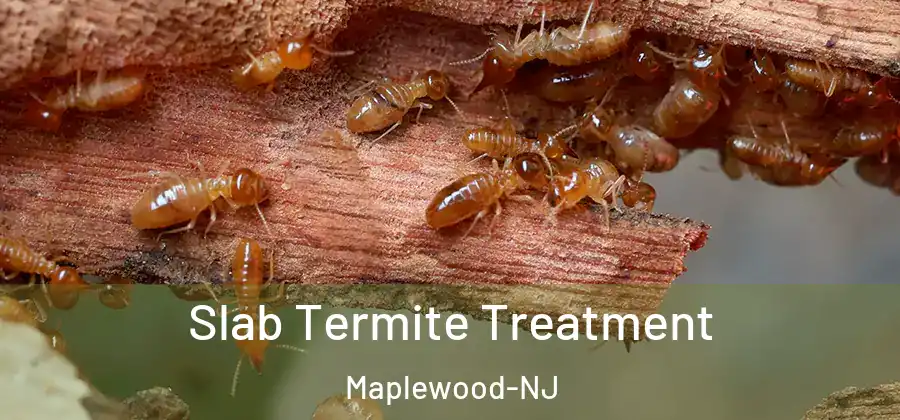 Slab Termite Treatment Maplewood-NJ