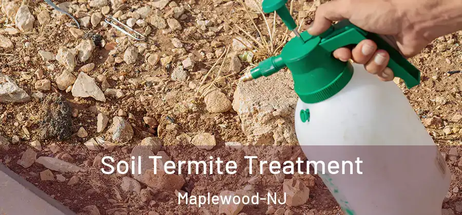 Soil Termite Treatment Maplewood-NJ